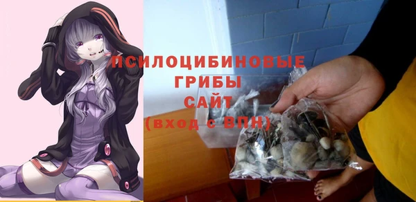 гидра Осинники