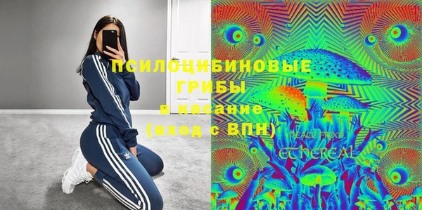 гидра Осинники