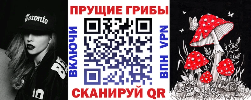 Псилоцибиновые грибы Psilocybe  хочу наркоту  Аркадак 